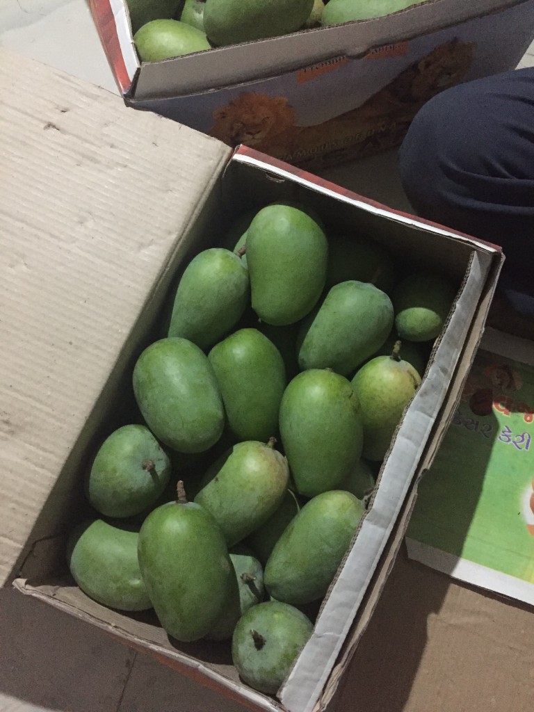 Grade B Regular Kesar Mangoes