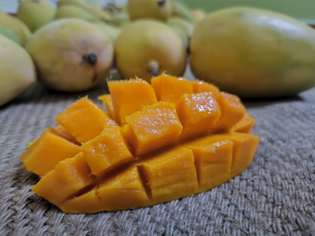 Fresh Gir Kesar Mangoes from KP Mango Farm